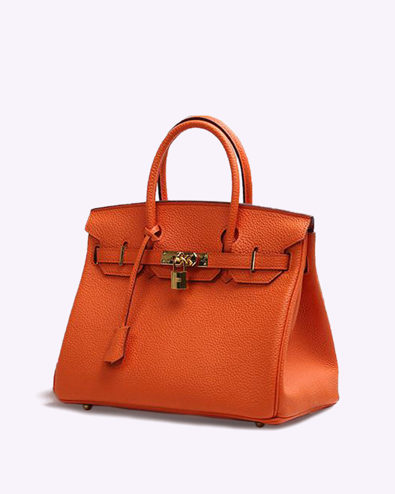 Subtle Luxury Handbag