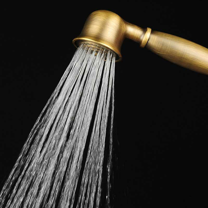 Traditional Wall-Mounted Handheld Shower Head with Hose - Polished Brass