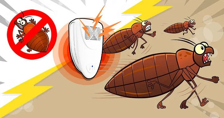 Ultrasonic Bed Bug Repellent - 48-Hour Solution