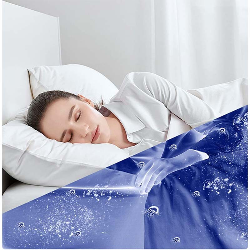 Vacuum & Iron Duo for Furniture, Bed Sheets, Beds and Household Use