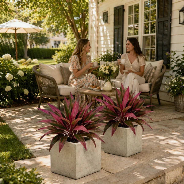 Vibrant Faux Cordyline Plant Set