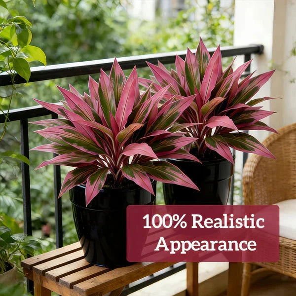 Vibrant Faux Cordyline Plant Set