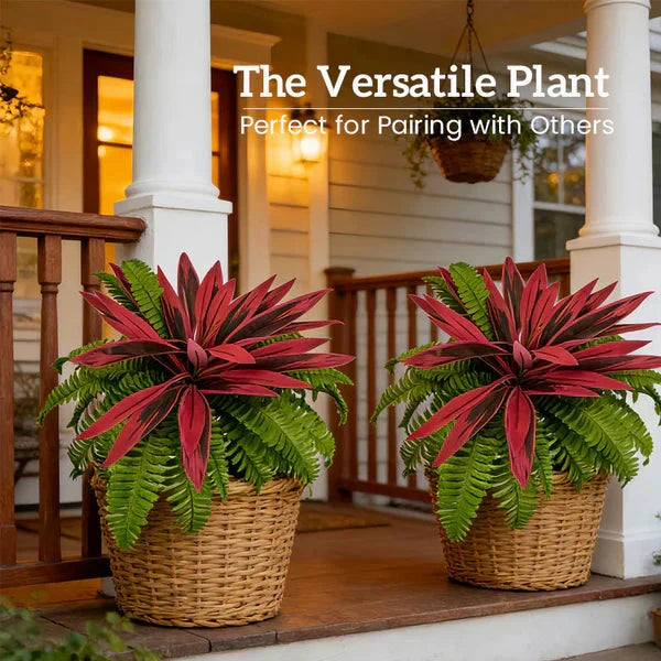 Vibrant Faux Cordyline Plant Set