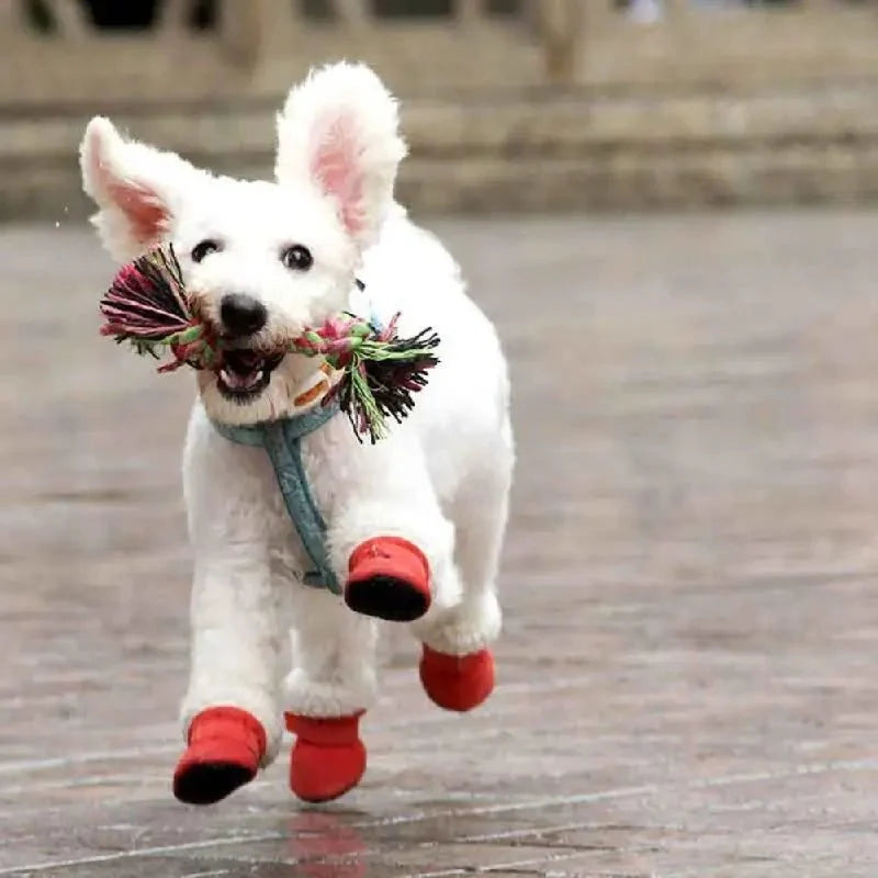 Waterproof Dog Boots