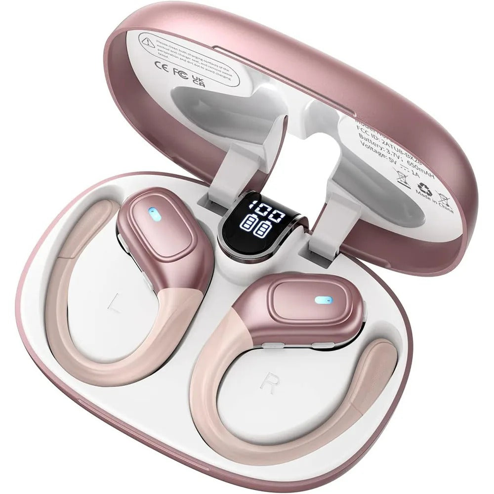 Wireless Noise-Cancelling Earbuds